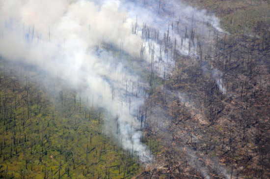 Минприроды подготовило поправки о тушении труднодоступных лесных пожаров