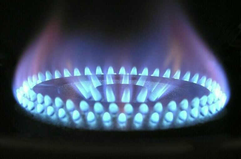 Энергетик: ЕС не сможет заместить российский газ импортом из других стран