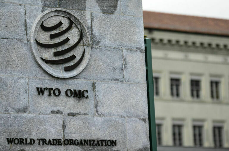 В Минэкономразвития РФ не согласились с идеей выхода из ВТО