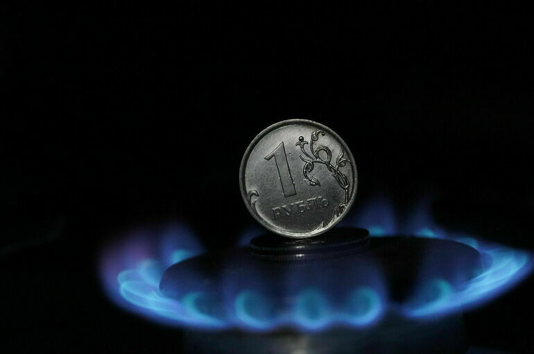 Австрия согласилась оплачивать российский газ в рублях