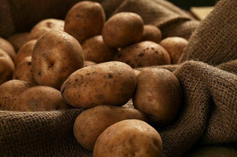 Пострадавшие от ВСУ производители картофеля получат господдерку