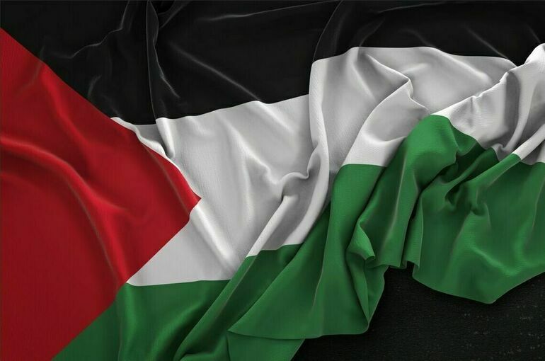 Ирландия и Испания заявили о признании независимой Палестины