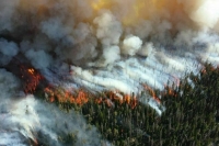 Совфед одобрил расширение полномочий регионов по тушению пожаров