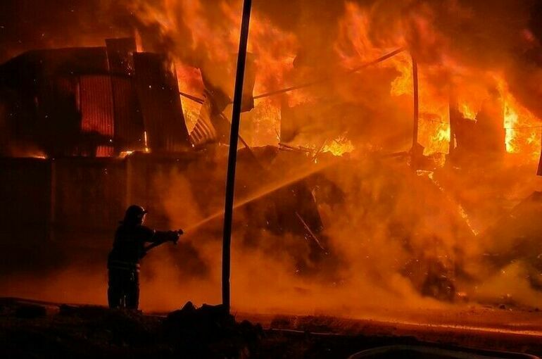 Число погибших при пожаре в подмосковном СНТ выросло до семи