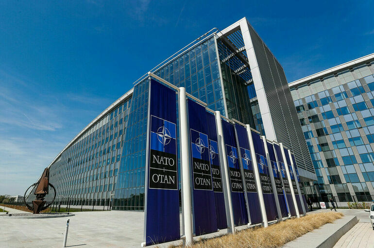 Страны НАТО просят Зеленского не давить с вопросом о вступлении в альянс