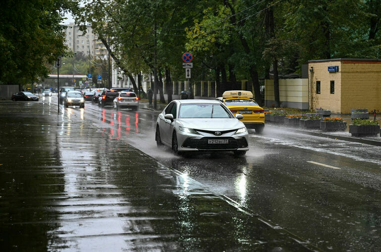 Москвичам спрогнозировали теплую погоду с кратковременными дождями и грозами