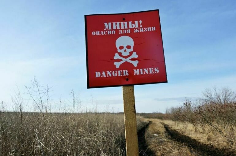 Четыре человека подорвались на мине в Белгородской области