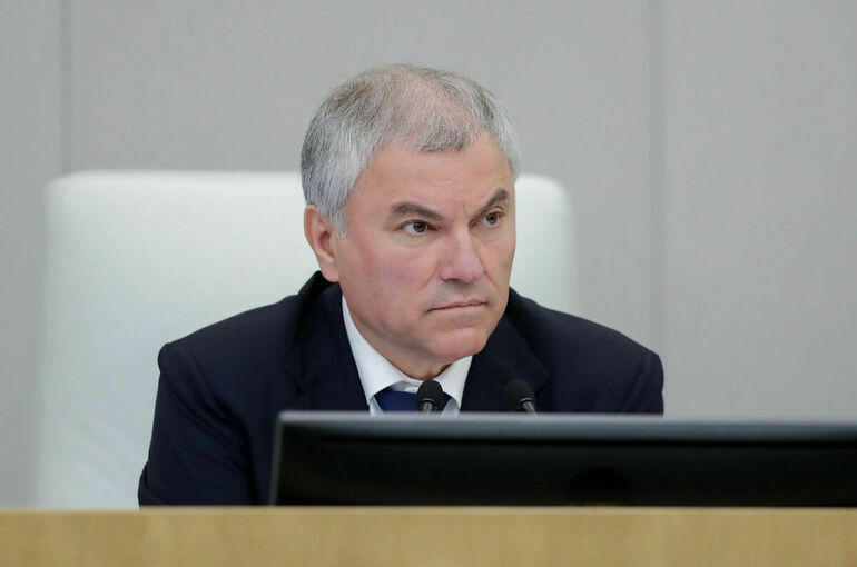 Володин предложил заслушать отчет Москальковой за 2024 год в январе 2025 года