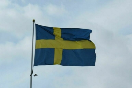 ВС Швеции заявили, что российский самолет нарушил воздушные границы страны