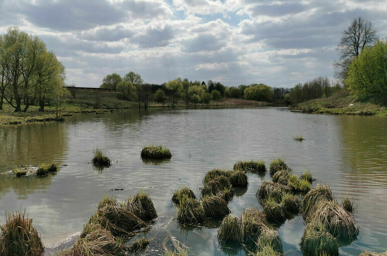 Кировскую область включат в федеральную программу оздоровления водных объектов