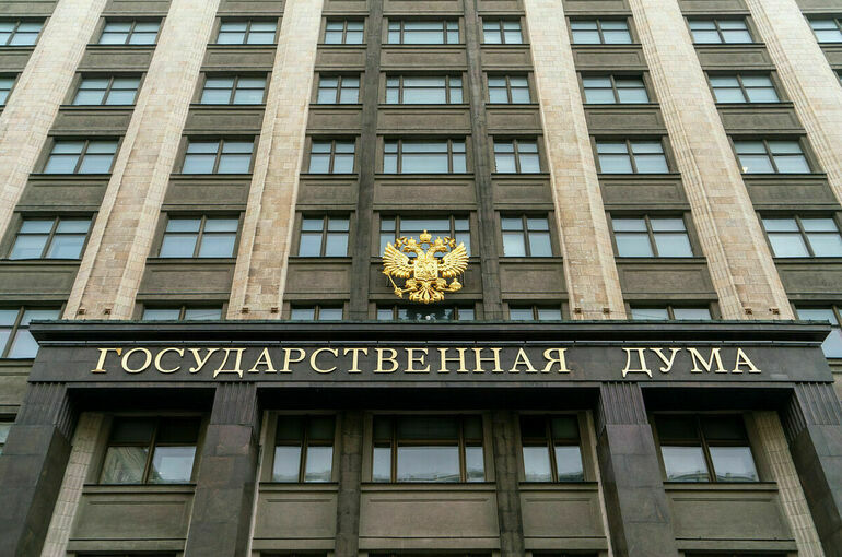 Госдума утвердила доклад комиссии по преступлениям Киева против детей