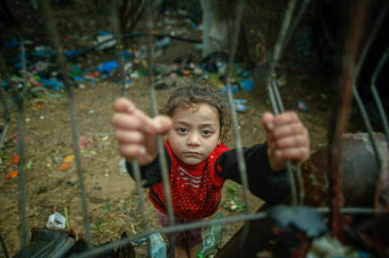 В Греции заявили, что Европа должна принять детей и раненых из Газы