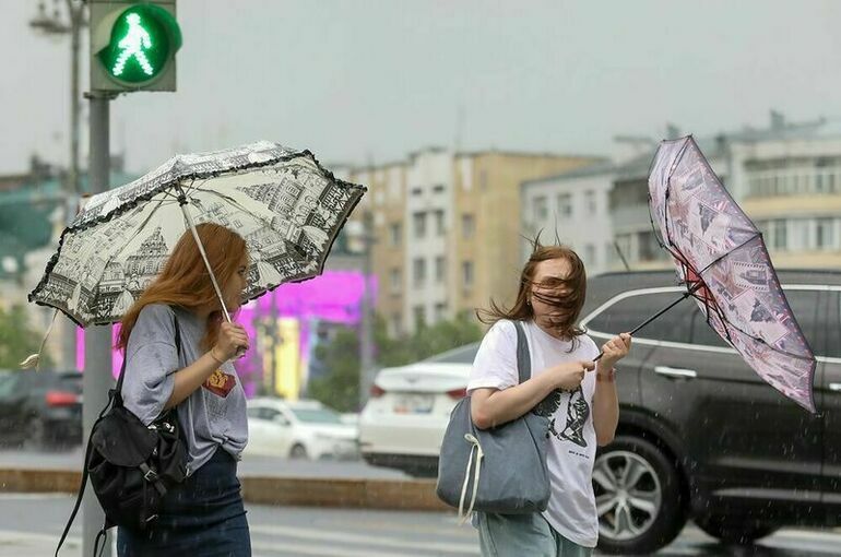 Москвичей просят воздержаться от пребывания на улице в непогоду