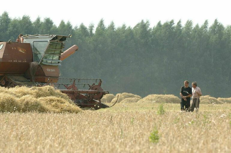 В Минсельхозе РФ ожидают роста цен на зерно на мировом и внутреннем рынках