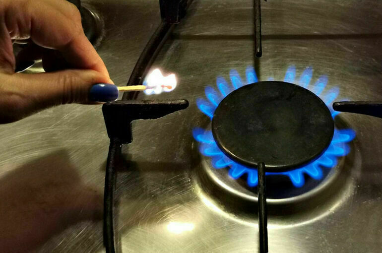 В России решили отменить монополию на ремонт газовых плит