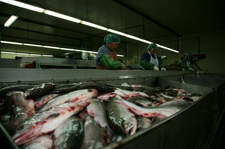 Сенатор Талабаева: Поправки в закон о рыболовстве повысят эффективность противопаводковых мер