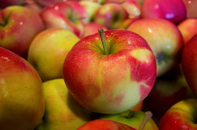 Цены на фрукты и ягоды могут вырасти на 50 процентов из-за аномальной жары