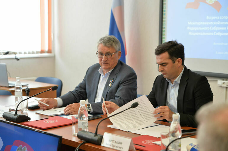 Вице-спикер Совфеда Воробьев встретился с зампредом парламента Армении