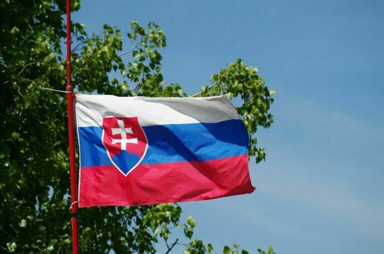 Премьер Словакии Фицо заявил, что посетил бы Россию вместе с Орбаном
