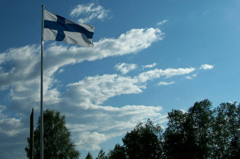 В Финляндии вырубят 120 км леса вдоль границы с Россией, чтобы возвести забор