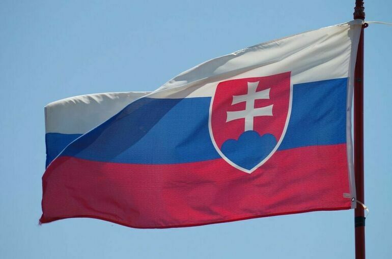 Вице-спикер парламента Словакии: Без России экономике страны придет конец