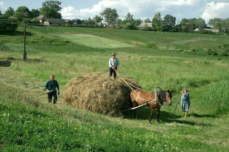 В Госдуме хотят осенью принять поправки в закон о крестьянском хозяйстве