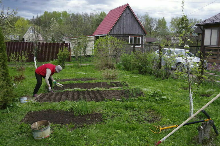 В Росреестре предлагают определить признаки заброшенности городских земель и садов