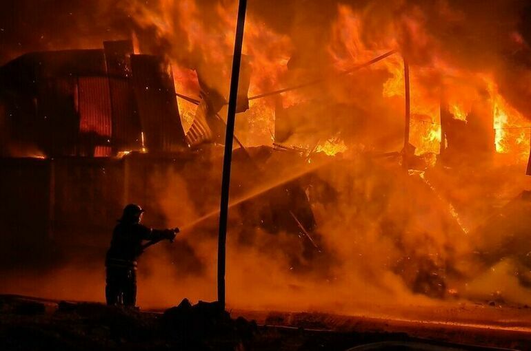 Природный пожар в ЛНР повредил более 40 частных домов