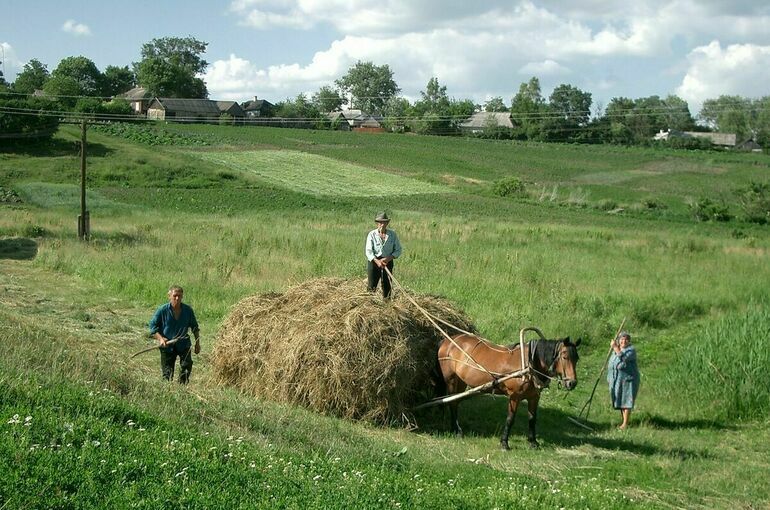 В Союзе туриндустрии объяснили желание россиян проводить отпуск в избах