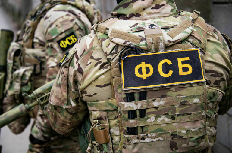 ФСБ задержала 39 проукраинских радикалов возрастом от 14 лет