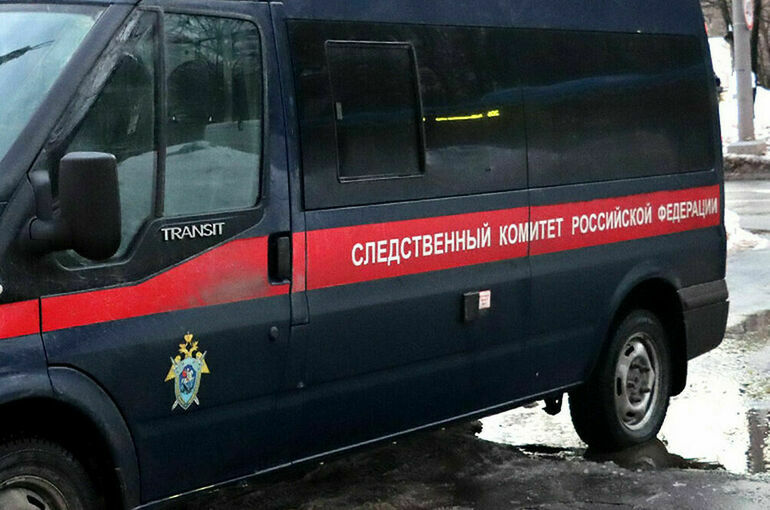 СК завел дело после смертельного нападения львов на сотрудницу парка «Тайган»