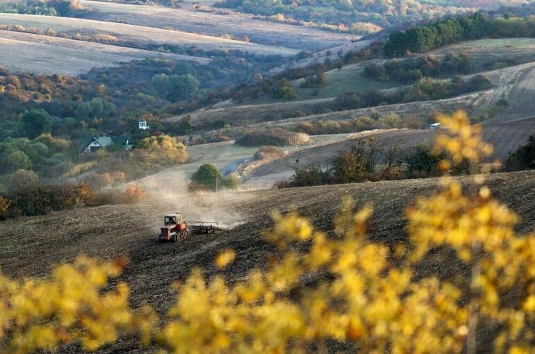 В Крыму и Севастополе продлили особые условия земельных отношений