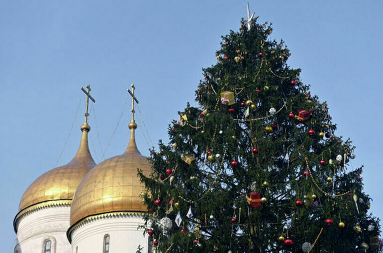 Главную новогоднюю елку России нашли в подмосковной Знаменке