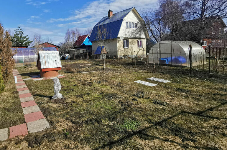 Новые льготы появятся у участников СВО: кому положены, как получить