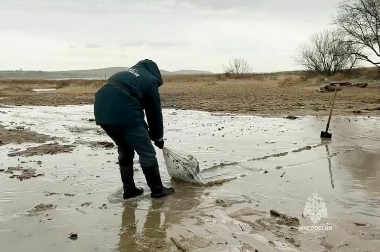 Третий танкер в Черном море подал сигнал бедствия