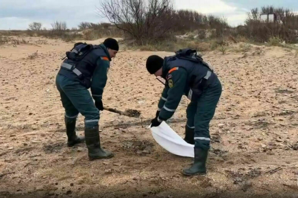 Протяженность береговой линии на Кубани с выбросами мазута составила около 35 км