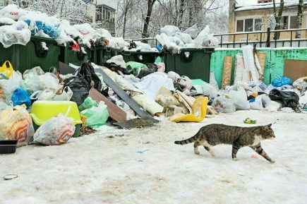 С мусорными завалами во дворах разберутся по-новому