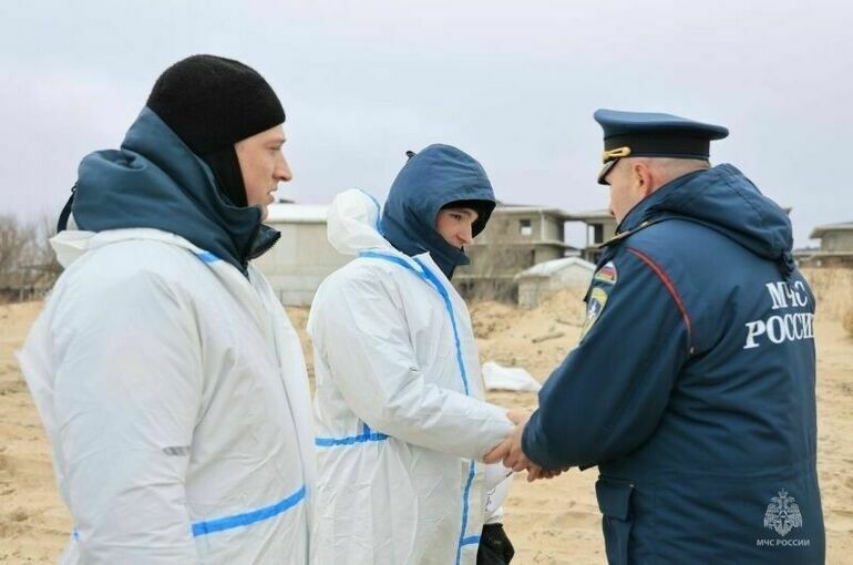 Из-за крушения танкеров на Кубани ввели режим ЧС федерального значения