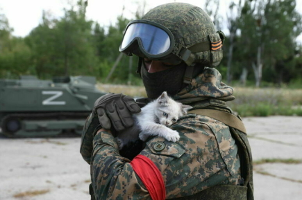 Получить справку об участии в СВО станет проще